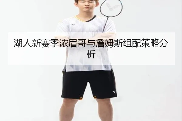 湖人新赛季浓眉哥与詹姆斯组配策略分析